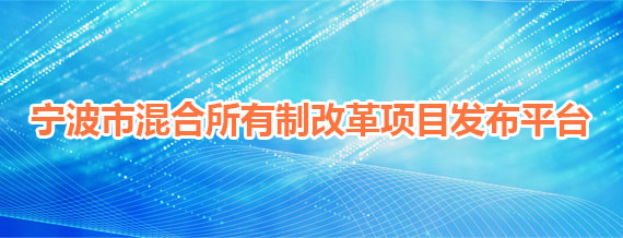 宁波市混合所有制改革项目发布平台